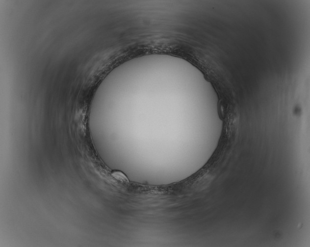 X0000111531010200907281357