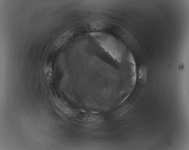 X0000111531011200907281357