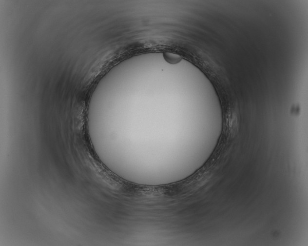 X0000111531012200907281357