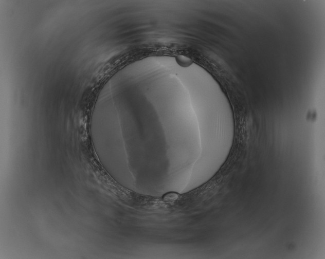 X0000111531013200907281357