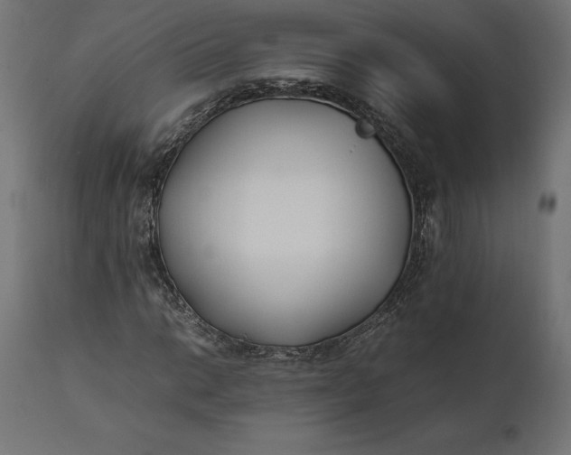 X0000111531014200907281357