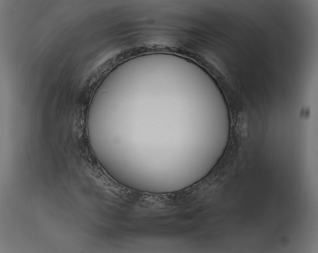 X0000111531015200907281357