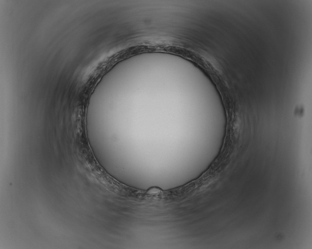 X0000111531016200907281357