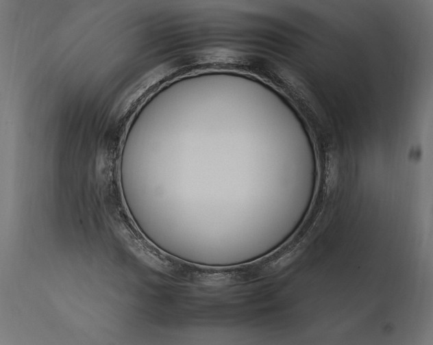 X0000111531017200907281357