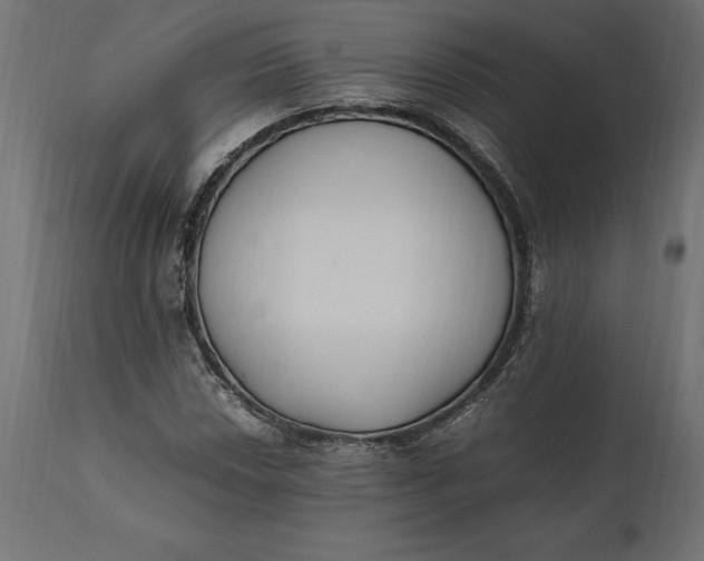 X0000111531018200907281357