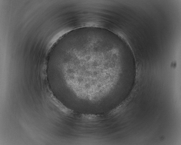 X0000111531019200907281357