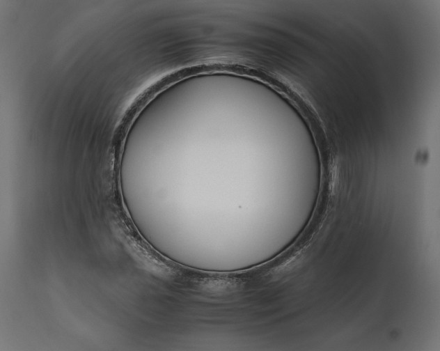 X0000111531021200907281357