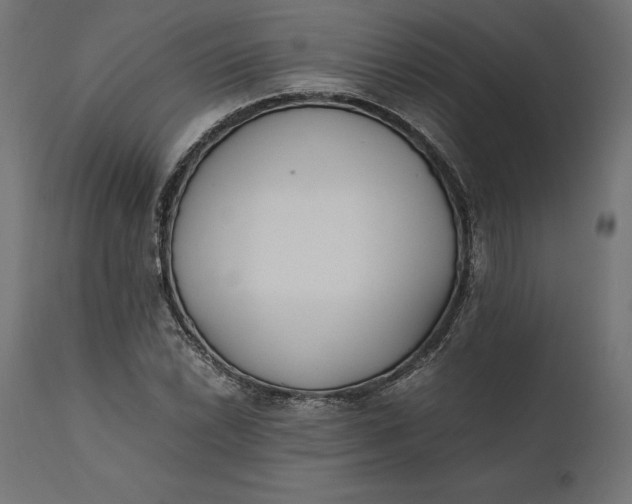 X0000111531022200907281357