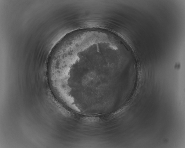 X0000111531023200907281357