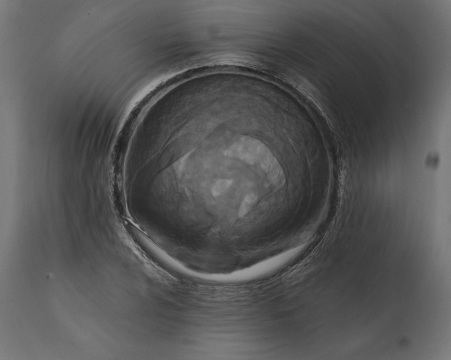 X0000111531024200907281357