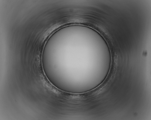 X0000111531025200907281357