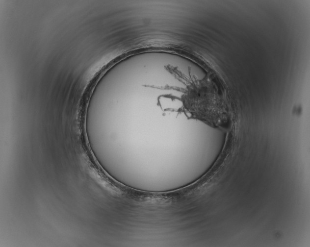 X0000111531026200907281358