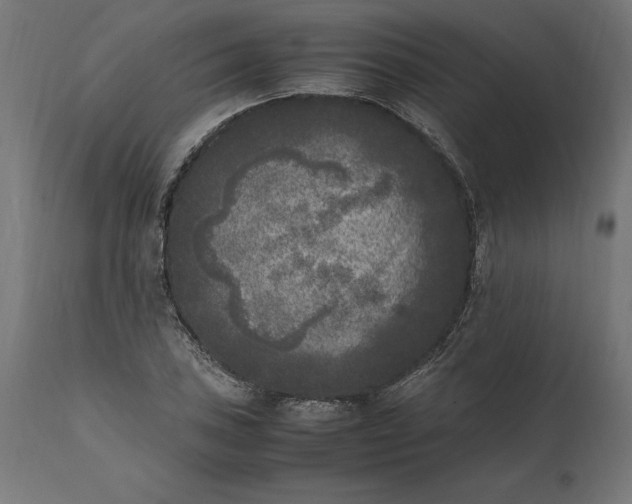 X0000111531027200907281358