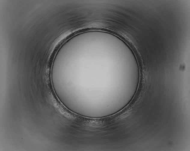 X0000111531029200907281358