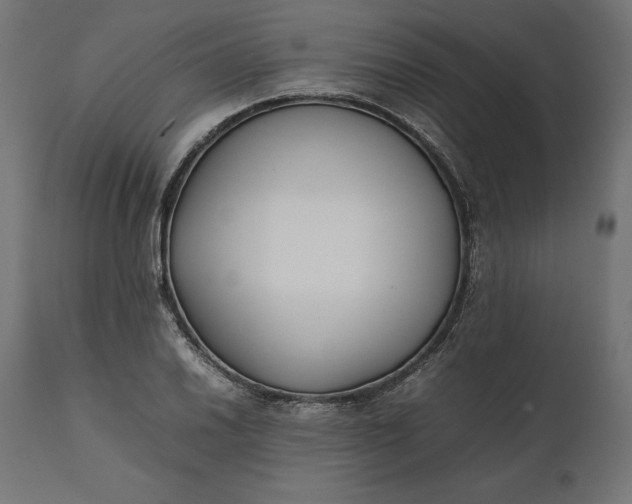 X0000111531030200907281358