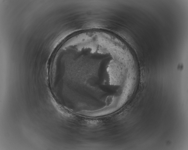 X0000111531031200907281358