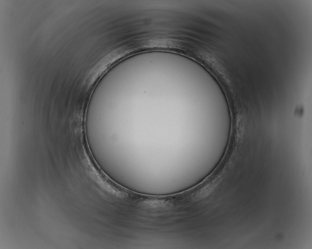 X0000111531033200907281358