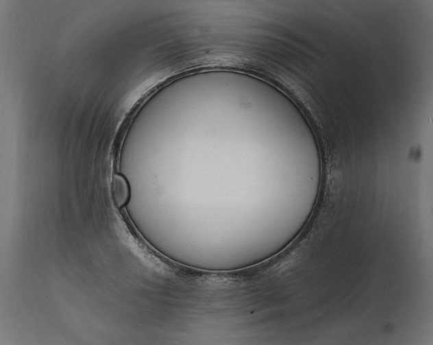 X0000111531034200907281358