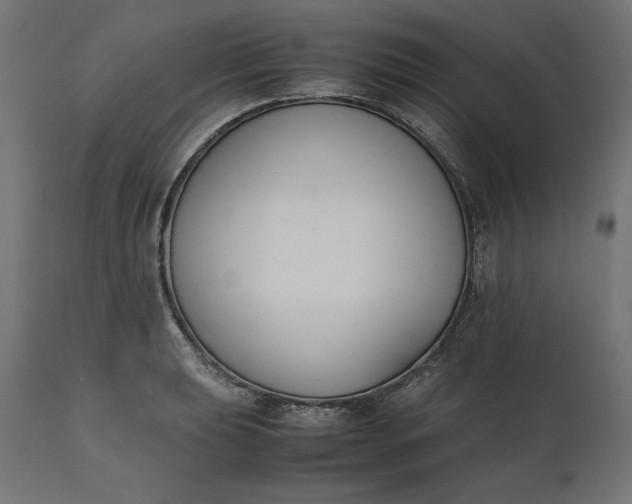 X0000111531039200907281358