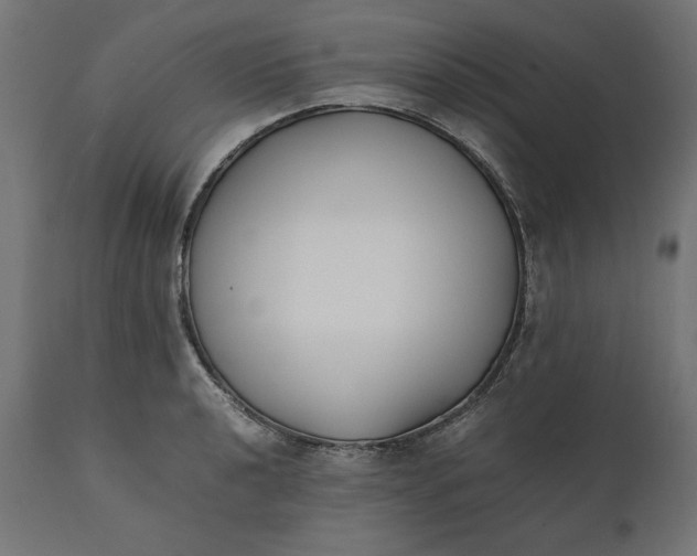 X0000111531040200907281358