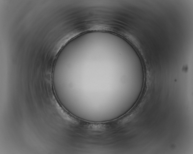 X0000111531041200907281358