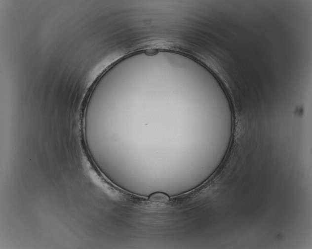 X0000111531042200907281358