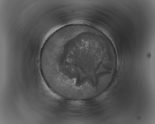 X0000111531045200907281358