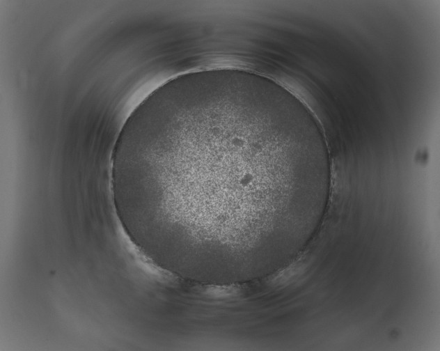 X0000111531047200907281358