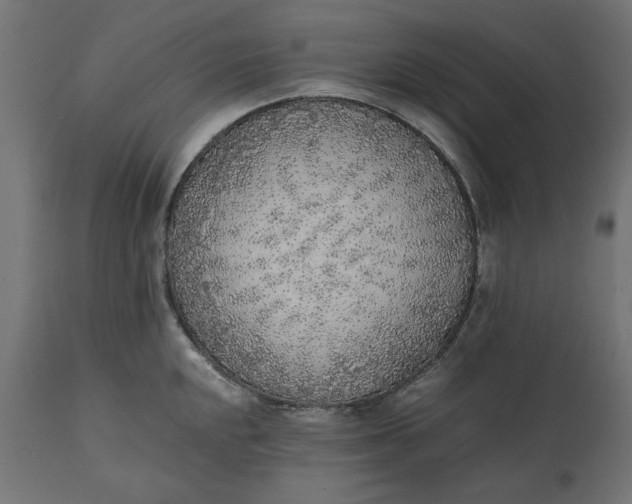 X0000111531048200907281358