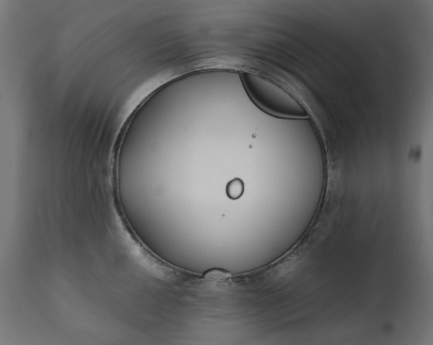 X0000111531050200907281358