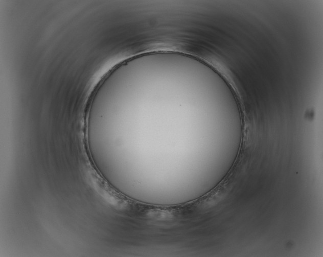 X0000111531051200907281358