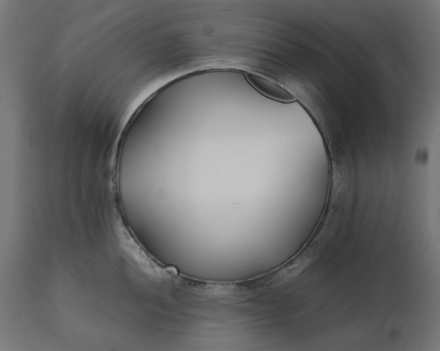 X0000111531052200907281358