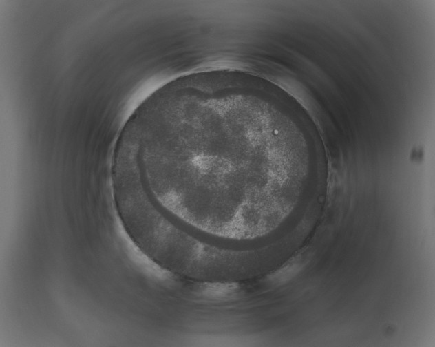 X0000111531055200907281358