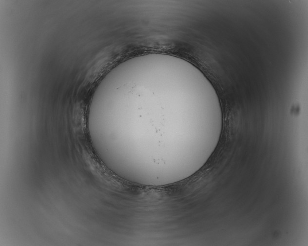 X0000111531058200907281357