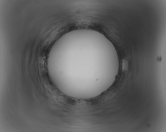 X0000111531059200907281357