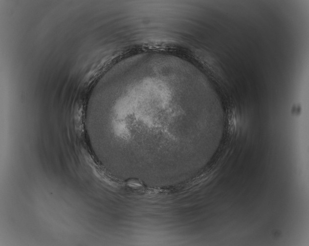 X0000111531060200907281357