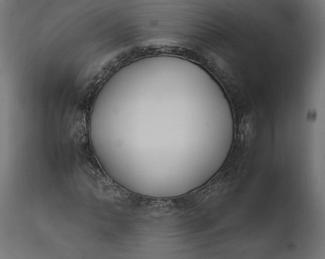 X0000111531062200907281357