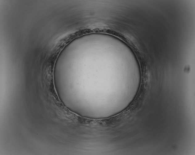 X0000111531063200907281357