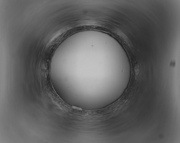 X0000111531064200907281357