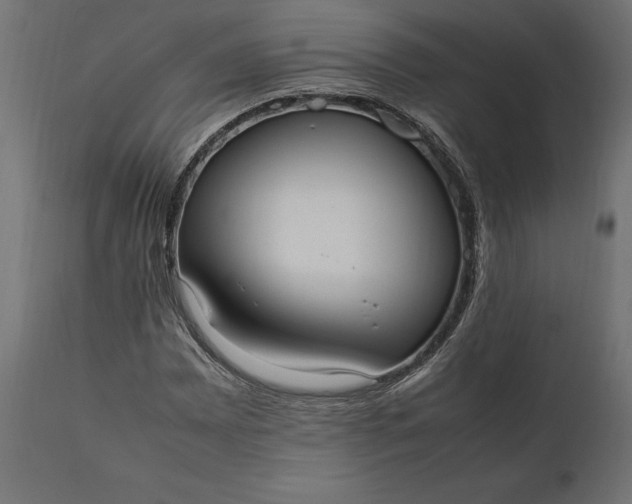 X0000111531065200907281357