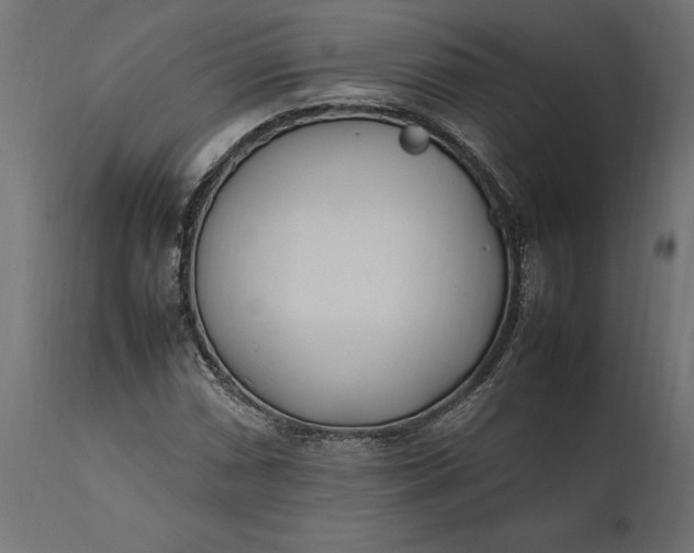 X0000111531066200907281357