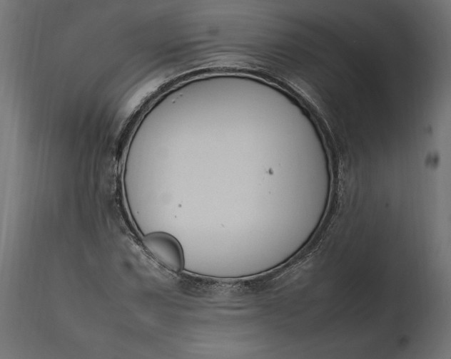 X0000111531067200907281357