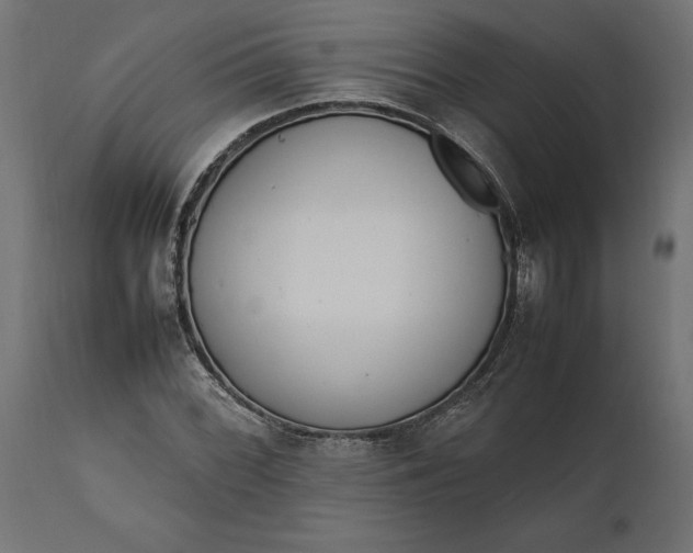 X0000111531068200907281357