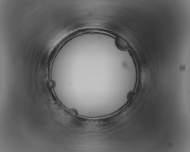 X0000111531069200907281357