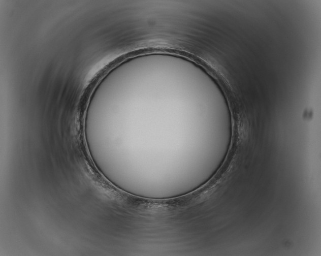 X0000111531070200907281357