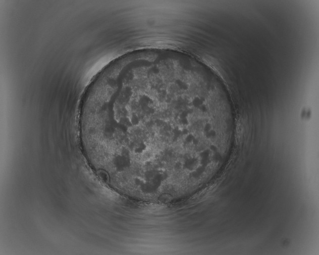 X0000111531071200907281357