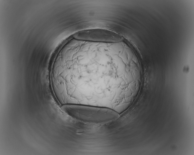 X0000111531072200907281357