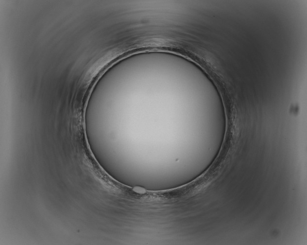 X0000111531073200907281357