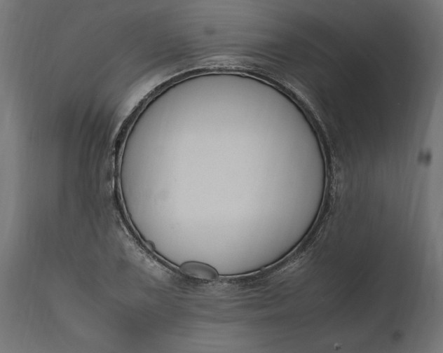 X0000111531075200907281357