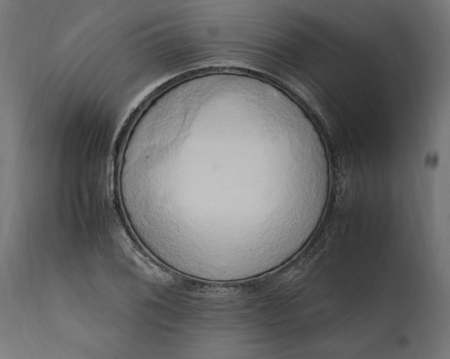 X0000111531076200907281357